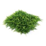 Jardim Vertical Permanente De Parede Proteção Uv 80 Placas