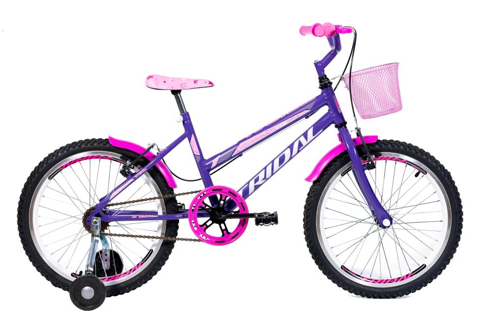 Bicicleta Aro 20 Feminina Infantil Roda Lateral Tridal - Lilás - 14