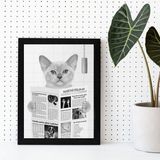 Quadro Decorativo Gato Lendo Jornal No Banheiro 24x18cm