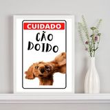 Quadro Decorativo Cuidado Cão Doido 45x34cm