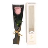 Presente De Flor De Rosa De Flor Preservada Para Mulheres Para O Aniversário