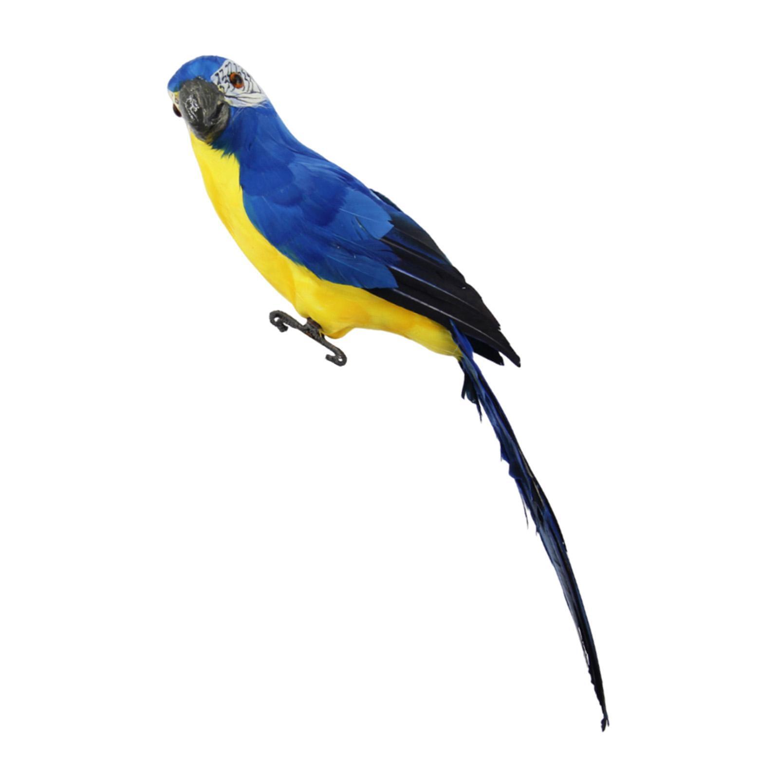 Macaw Artificial Bird Lifelike 60 Cm Bird Parrot Modelo Para