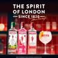 gin-beefeater-london-dry-13-anos-750-ml-7.jpg