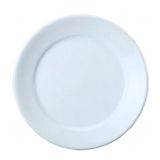 Jogo De 10 Pratos Rasos Jantar Porcelana 24,5 Cm Bar Hotel Germer