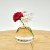 Garrafa De Vaso Suspenso De Parede De Vidro Transparente Angel Para Flor Vegetal