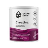 Creatina Monohidratada Em Po Sem Sabor 300g - Ocean Drop