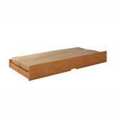 Cama Auxiliar De Solteiro Premium 088 Cinamomo Conquista Cinamomo