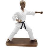 Estatueta Decoração Lutador Capoeira Escultura Resina 23cm