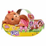 Pelucia Interativa Little Live Pets Cozy Dozys Urso Beau Fun Divirta Se