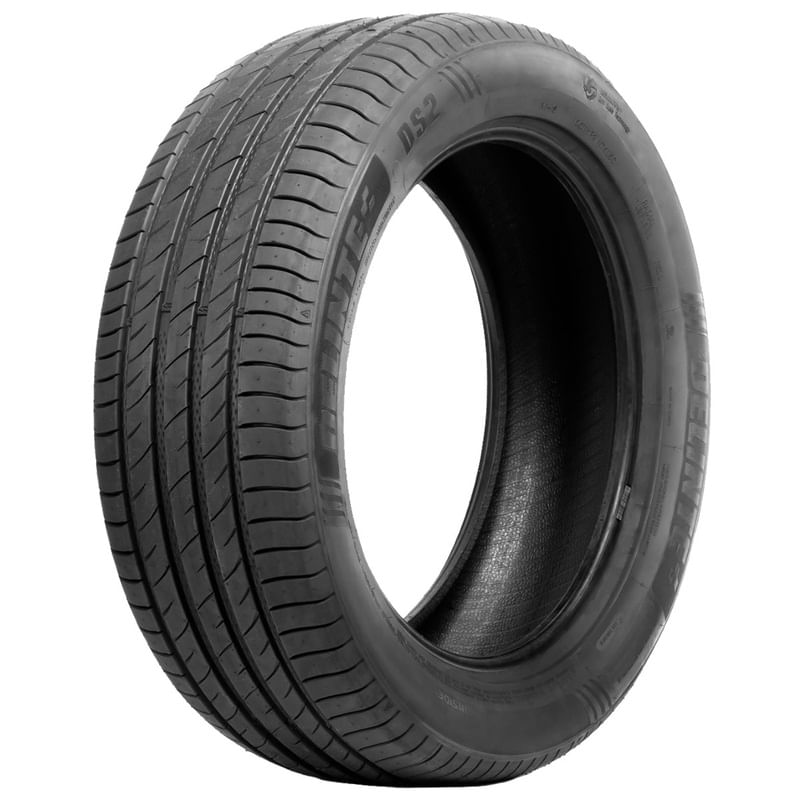 Pneu Delinte Aro 19 255/35r19 96w Xl Ds2