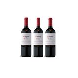 Kit Vinho Casillero Del Diablo Cabernet Sauvignon 750ml 3uni