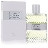 Perfume Masculino Sauvage Christian Dior 100 Ml Eau De Toilette