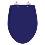 Assento Sanitario Victoria Cobalto Para Vaso Ideal Standard