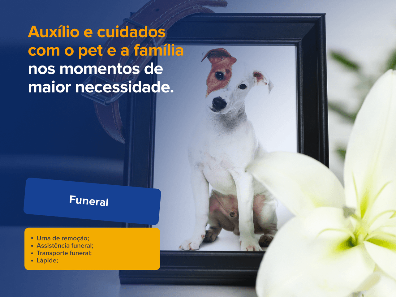 vitrine04_parapet_completo_funeral