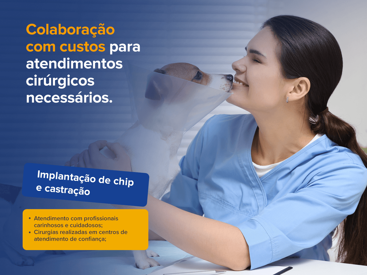 vitrine05_parapet_completo_castracao