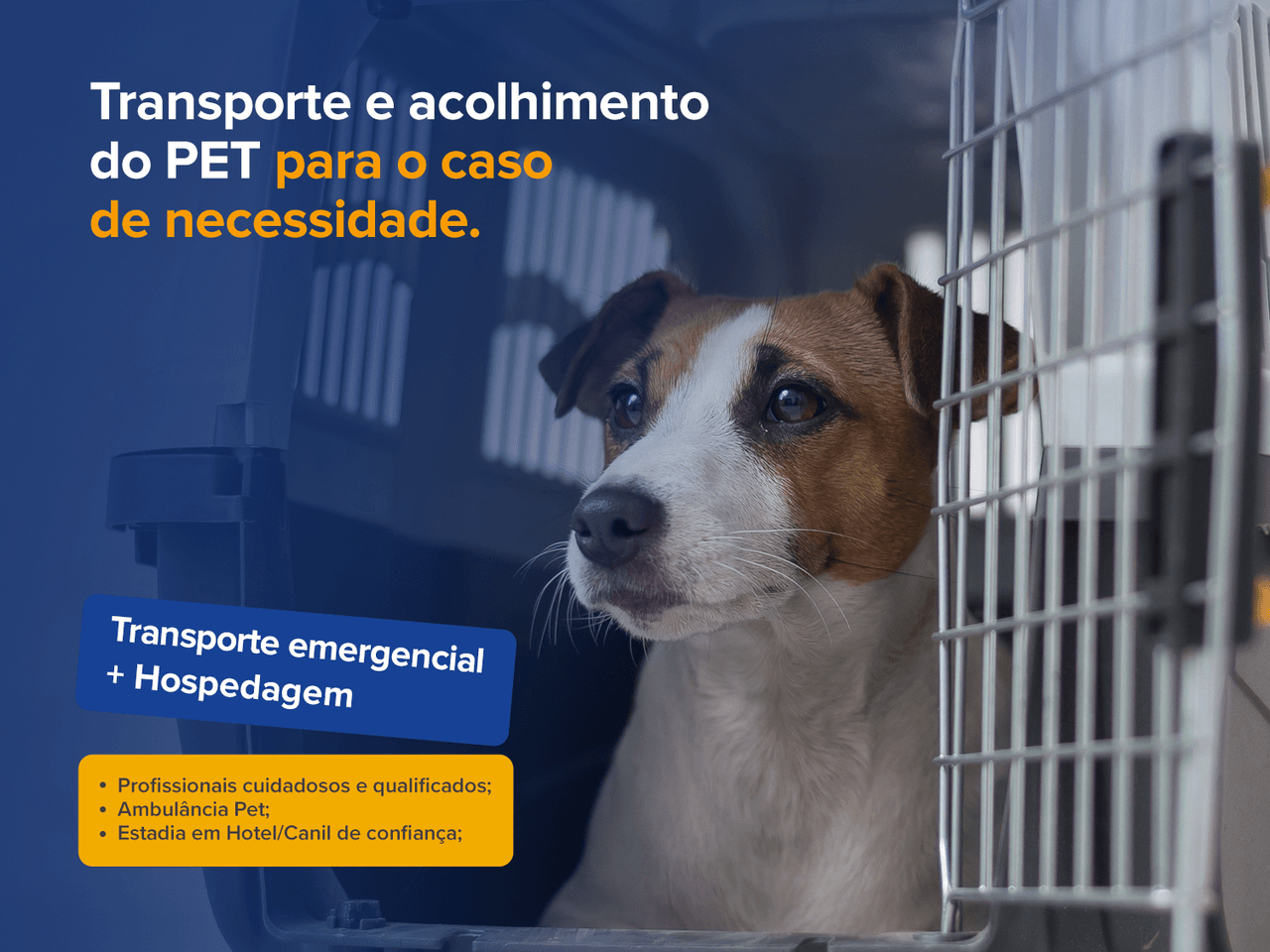 vitrine06_parapet_premium_transporte_hospedagem