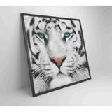 Quadro Tigre Branco Medidas 60x60 Cm Impressão Vidro Acrílico