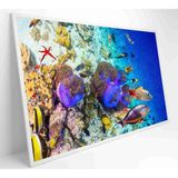 Quadro Peixes Coloridos Fundo Do Mar Medidas 90x60 Cm Impressão Vidro Acrílico