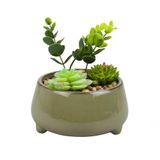 Vaso Porcelana Plantas Artificiais Modelo B 12x13x13cm