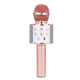 Leitor De Alto-falante Sem Fio Ktv Karaoke Mic Usb Portable
