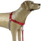 Peitoral Modelo Easy Walk Anti Puxão K9 Spirit Vermtam Px