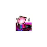 Projetor Led Spotlight 30w Rgb Com Controle Remoto Colorido