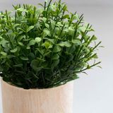 12 Picks Artificiais Com Eucalipto Com 72 Hastes Total - Mini Buquês Realistas Para Decorações De Terrários E Arranjos