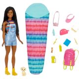 Boneca Barbie Brooklyn Acampamento Cachorro E Acessórios Hdf74 Mattel