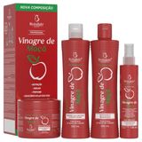 Kit Shampoo Condicionador Máscara E Spray Selante Profissional Vinagre De Maçã Bio Instinto