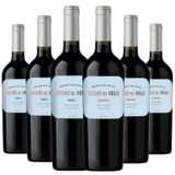 Kit 6 Vinhos Brisas Del Valle Merlot + Carménère