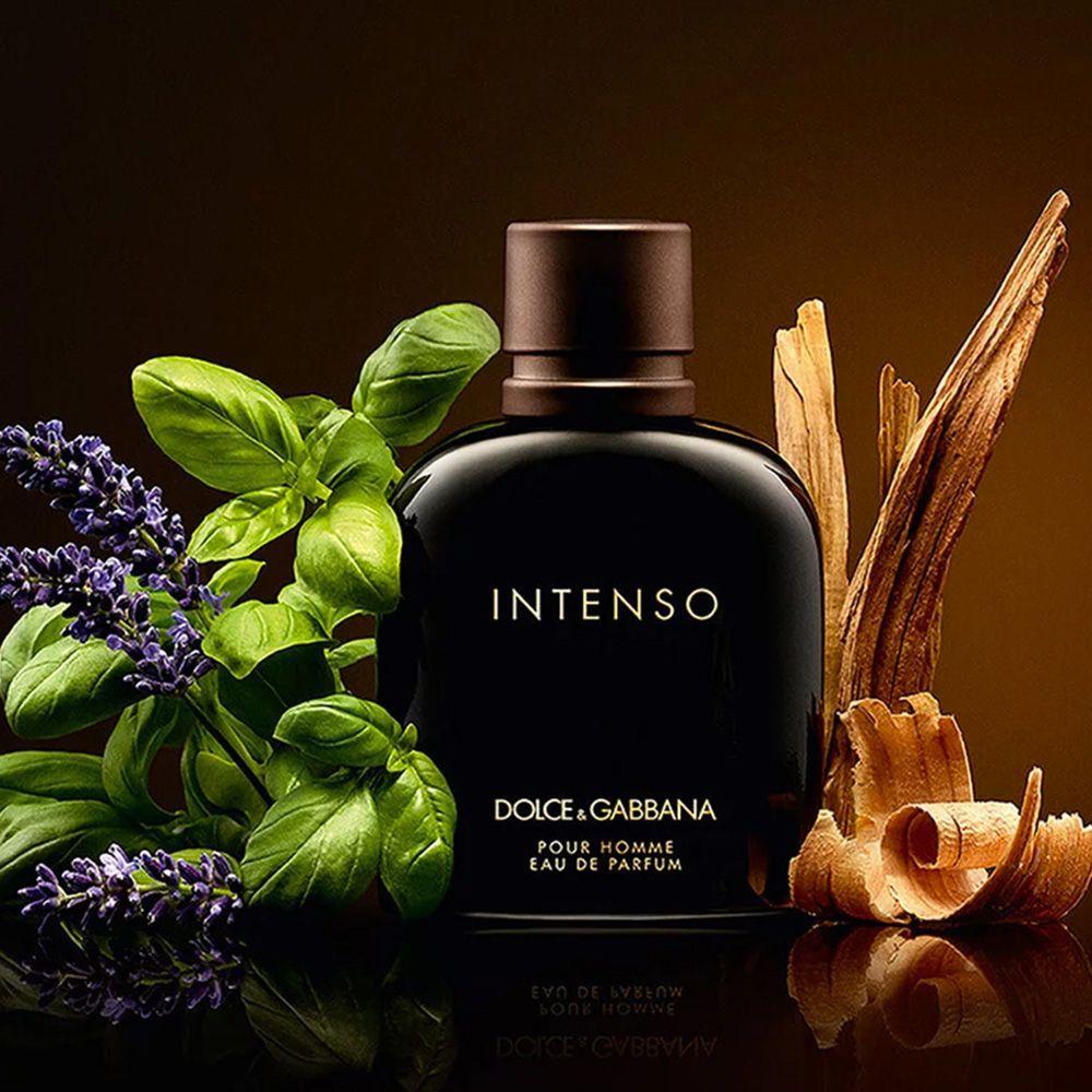 Men's Perfume Dolce & Gabbana   EDT 50 ml main image 1