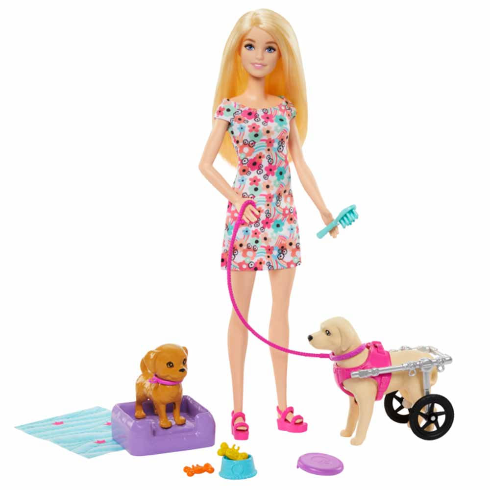 Boneca Barbie Family Cachorro Cadeira De Rodas Mattel