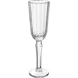 Jogo 6 Taças Champanhe Home&amp;co Eco Crystal 200ml 20x5x5cm Transparente