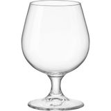 Jg 6pç Taça Conhaque Bormioli Rocco Riserva Cristal 530ml 15x10x10cm