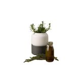Vaso Para Ervas Com Sistema De Auto Regador Pequeno Chef&#39;n