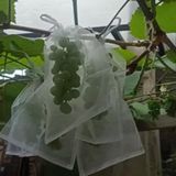 20 Sacos Para Proteção Frutas No Pe Lavável 20x35 Cm