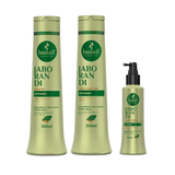 Shampoo Condicionador 500ml Tônico Jaborandi Haskell Bonitos