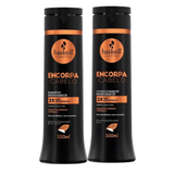 Shampoo Condicionador Encorpa Cabelo 300ml Haskell Fortalece