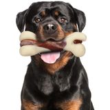 Osso de Brinquedo para Mastigadores Agressivos Sabor Carne Tikaton