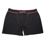 Cueca Box Lupo Masculina Poliamida 0733 Mescla/preto G