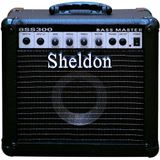 Caixa Amplificada Sheldon Bss300 30w 110/220v Contrabaixo