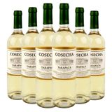 Kit Caixa Fechada 6 Vinhos Branco Tarapacá Cosecha Sauvignon Blanc