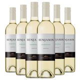 Kit Caixa Fechada 6 Vinhos Branco Benjamin Chardonnay