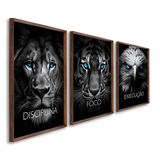 Quadro Decorativo Disciplina Foco Execução 60x90cm Leão Tigre Águia Para Sala, Escritório, Hall Marrom