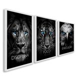 Quadro Decorativo Disciplina Foco Execução 60x90cm Leão Tigre Águia Para Sala, Escritório, Hall Branco