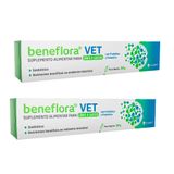 Kit 2un. Suplemento Alimentar Avert Beneflora Vet 14g