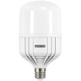 Lâmpada De Led Taschibra 30w 2700 Lúmens 6500k Base E27 Bivolt Cor: Branca