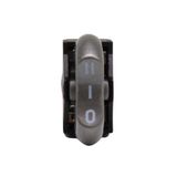 Chave Interruptor 10a Secador Cabelo Taiff Cinza Original