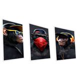 Kit Quadro Macacos Bandidos Vinil Sem Vidro Tamanho-moldura 70x50 Caixa Cor Branca