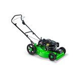 Cortador De Grama Lf-55rc Gasolina 6,5hp Tracionado E Recicladora Trapp